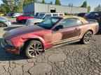 2005 FORD MUSTANG
