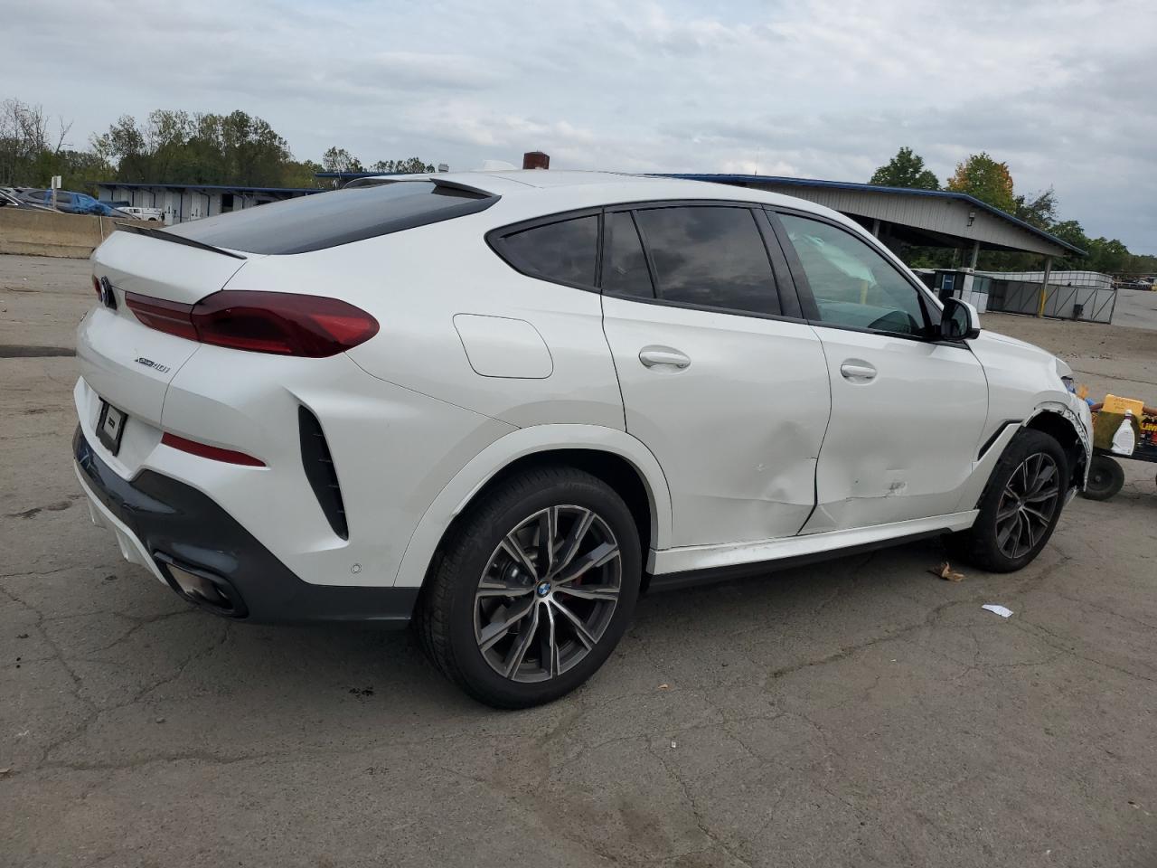 2024 BMW X6