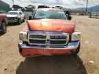 2007 DODGE Dakota