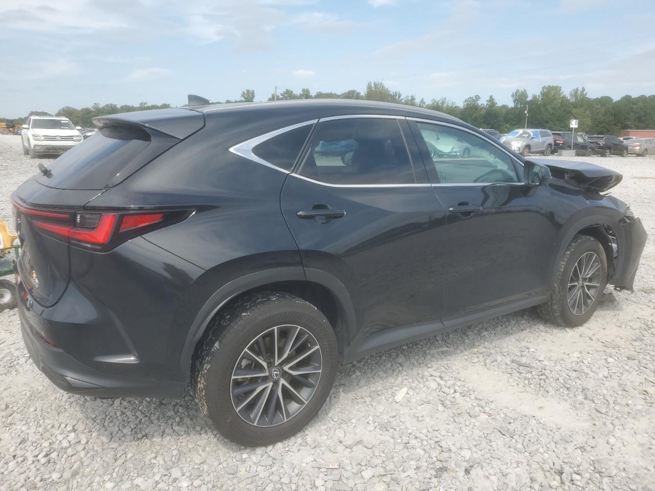 2025 LEXUS NX 250