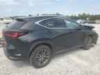 2025 LEXUS NX 250