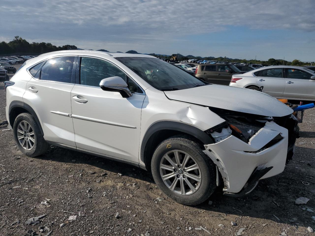 2018 LEXUS Nx