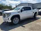 2025 GMC Sierra