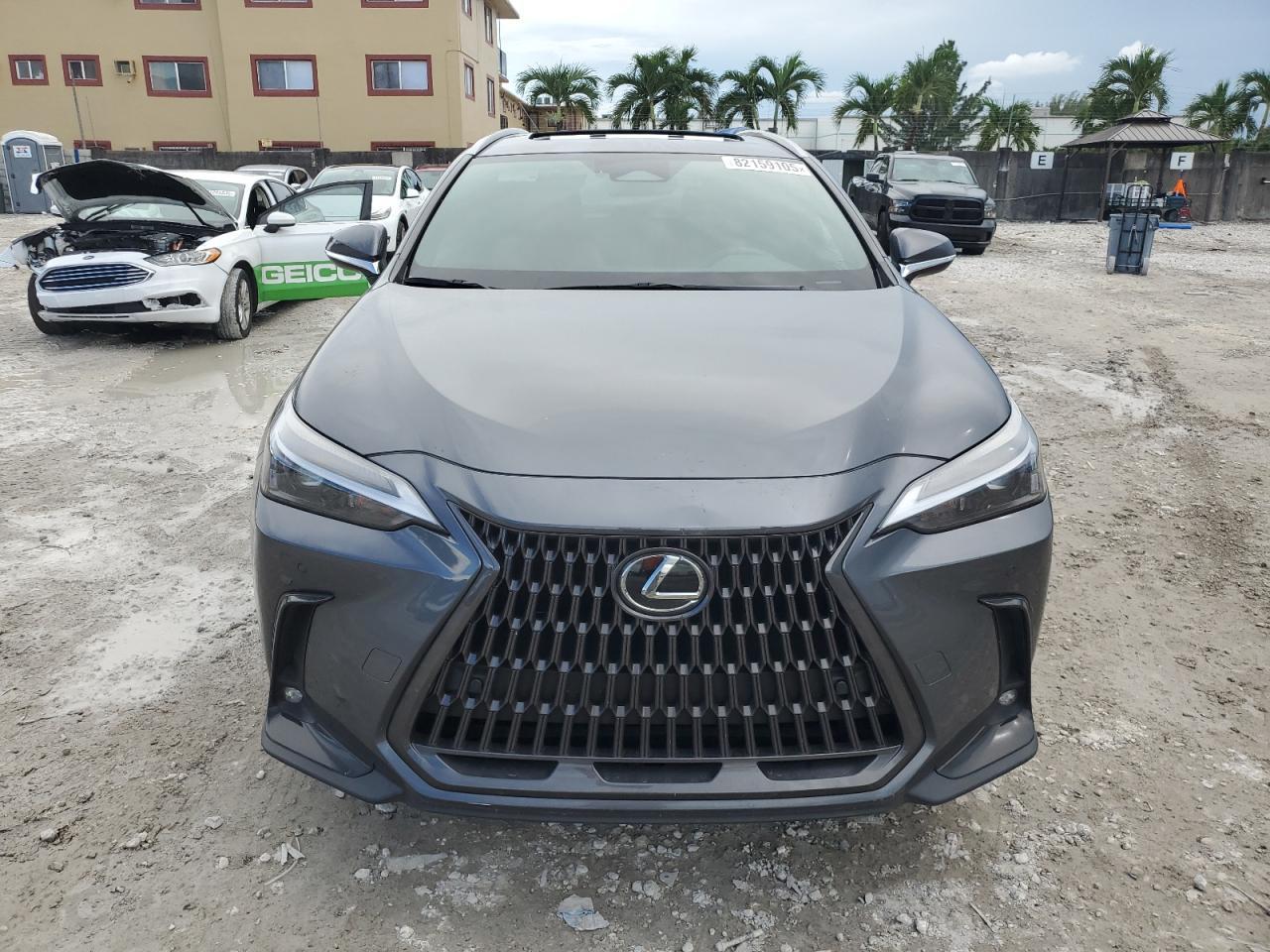 2025 LEXUS Nx