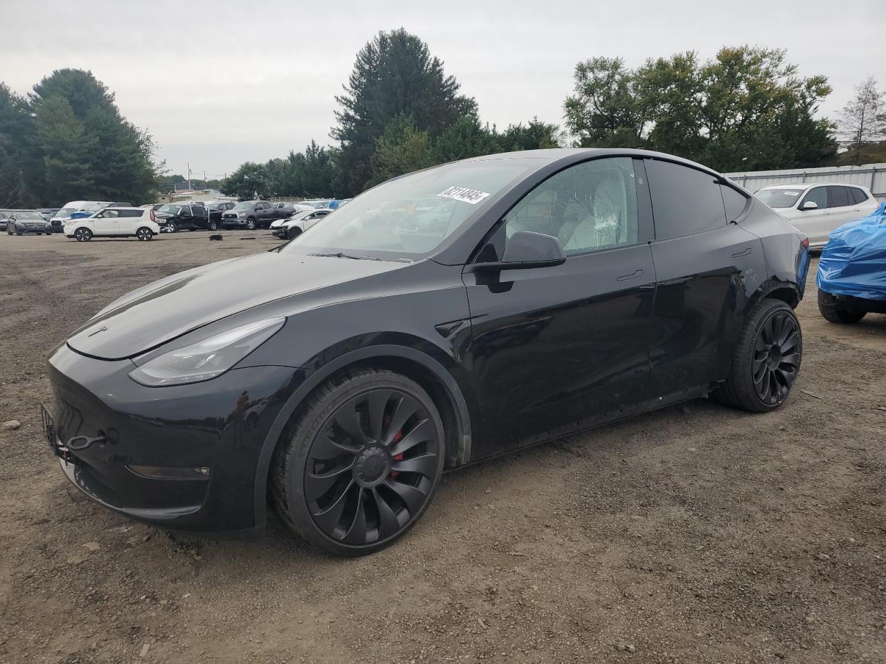 2023 TESLA MODEL Y