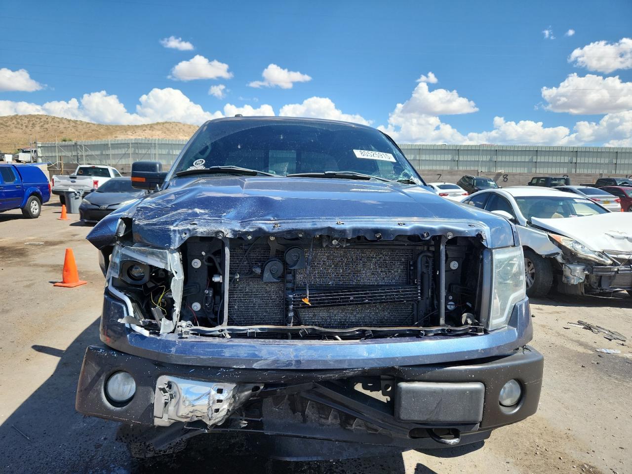 2013 FORD F-150