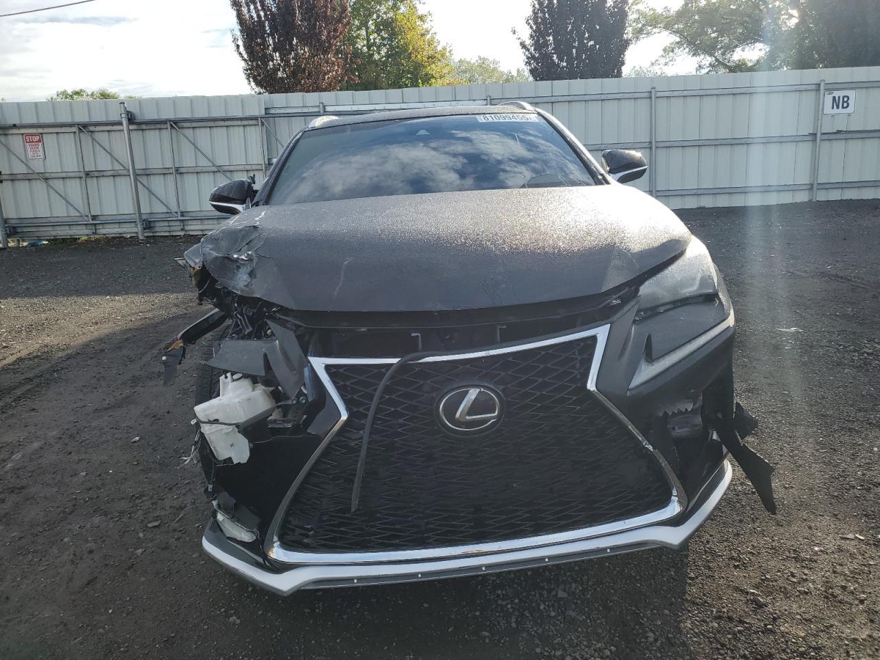 2019 LEXUS Nx