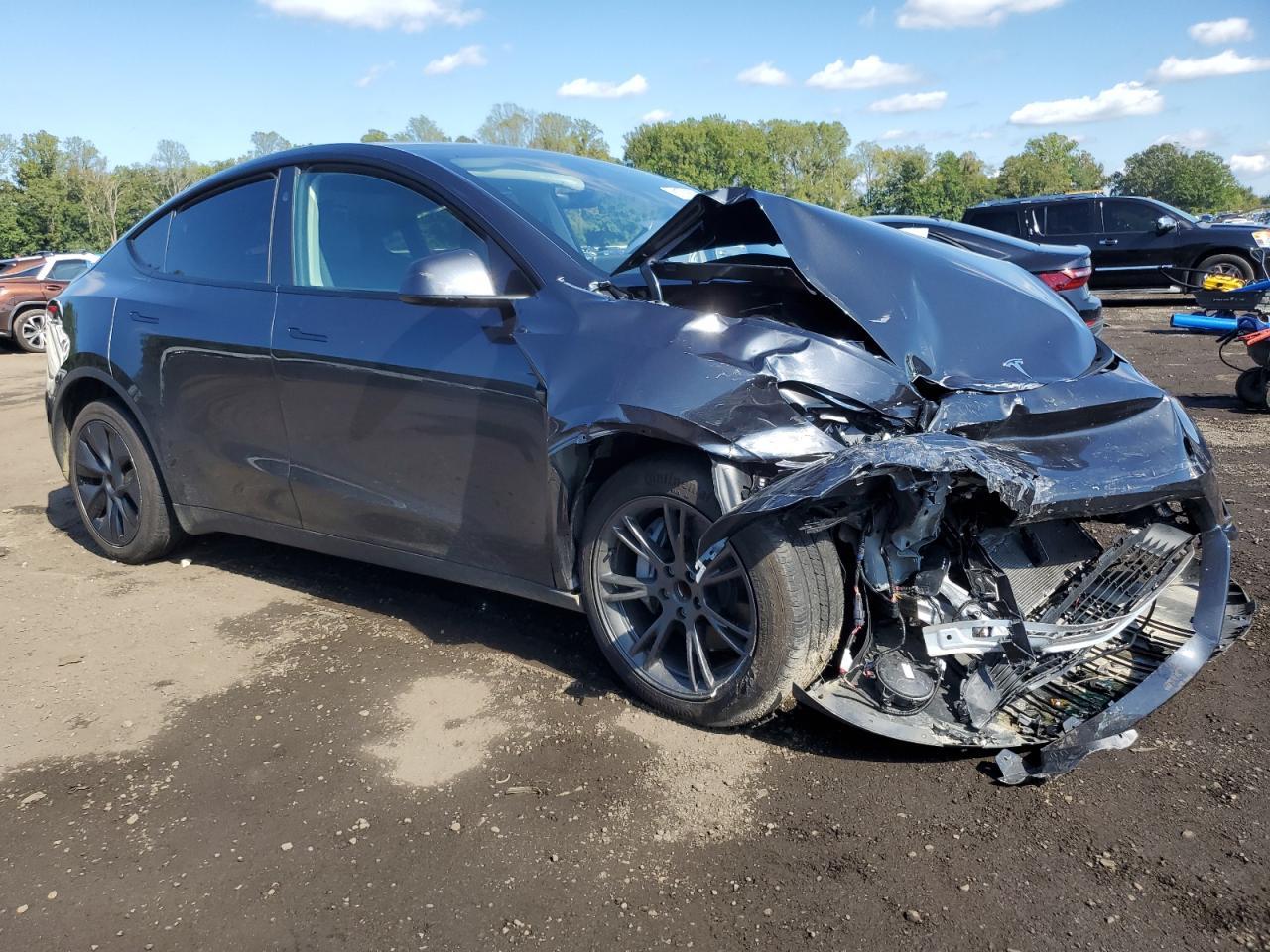 2025 TESLA MODEL Y