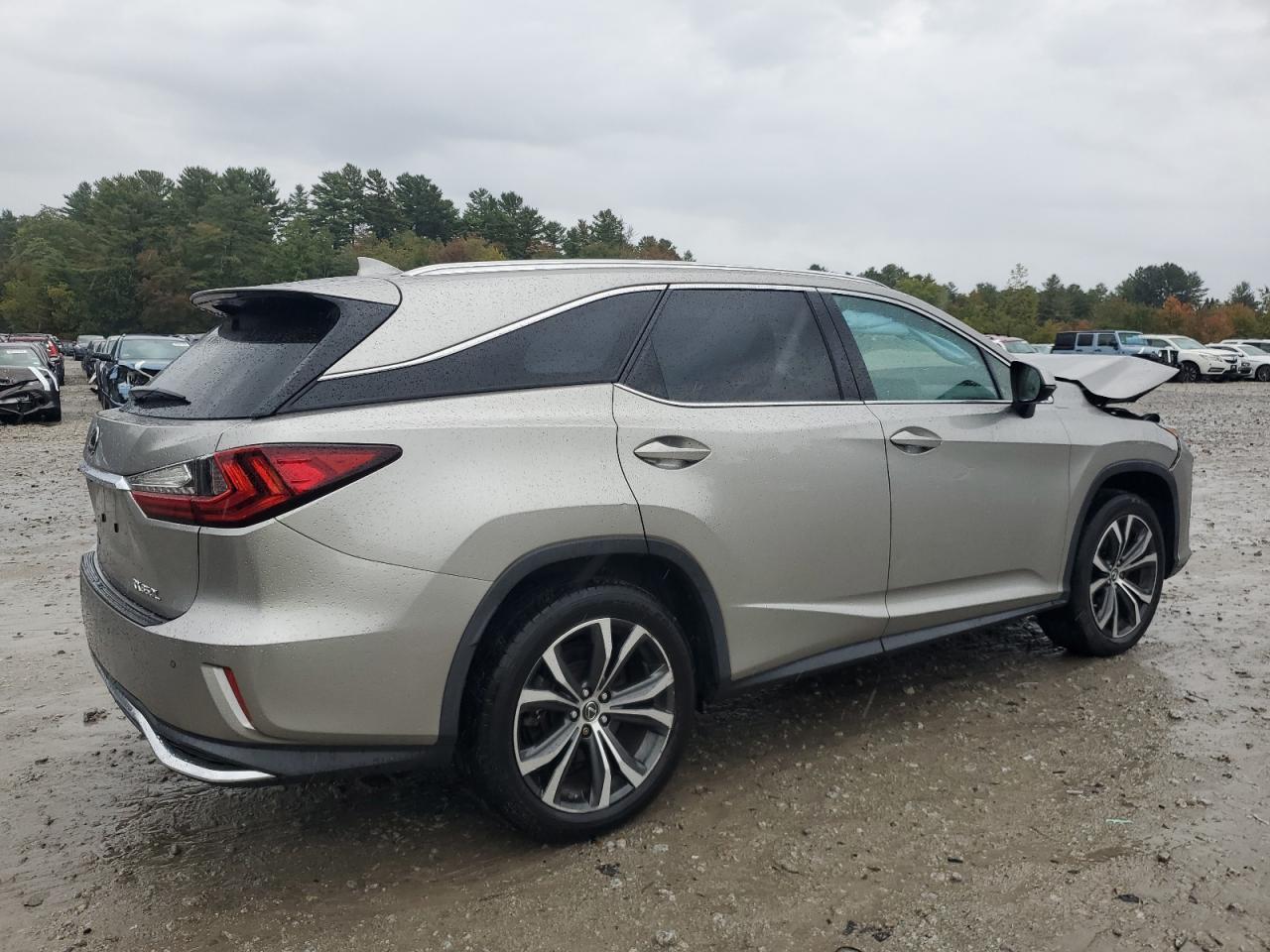 2019 LEXUS RX 350L