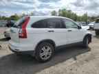 2010 HONDA CR-V