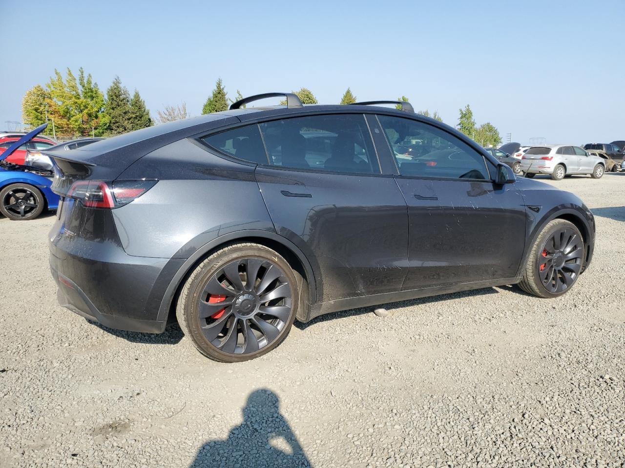 2024 TESLA MODEL Y