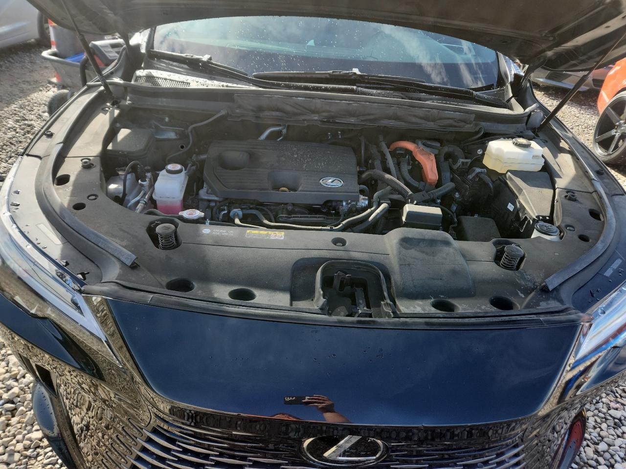 2023 LEXUS Rx