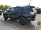2024 TOYOTA 4Runner