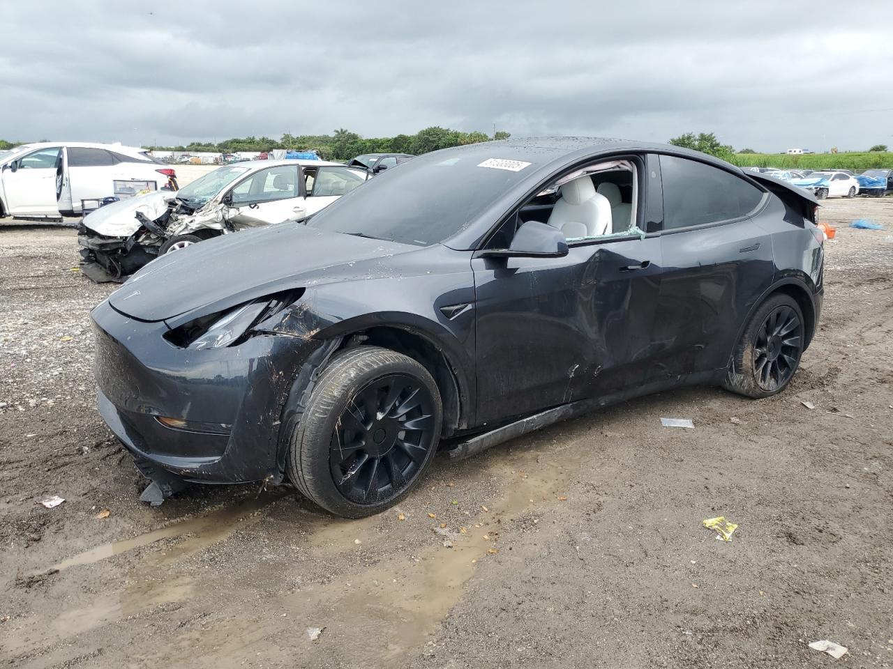 2024 TESLA MODEL Y
