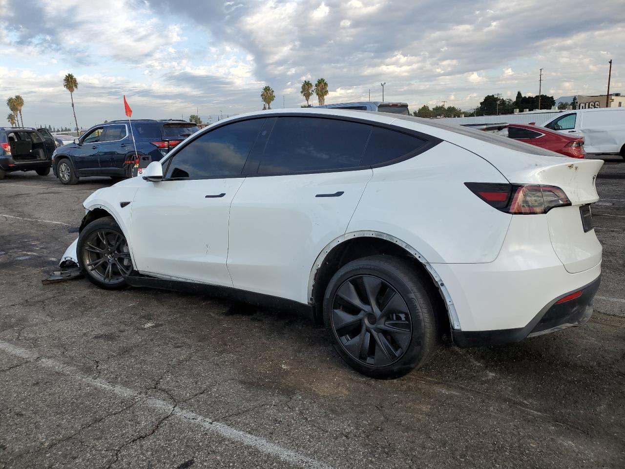 2025 TESLA MODEL Y