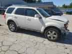 2009 FORD ESCAPE