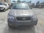 2006 FORD ESCAPE