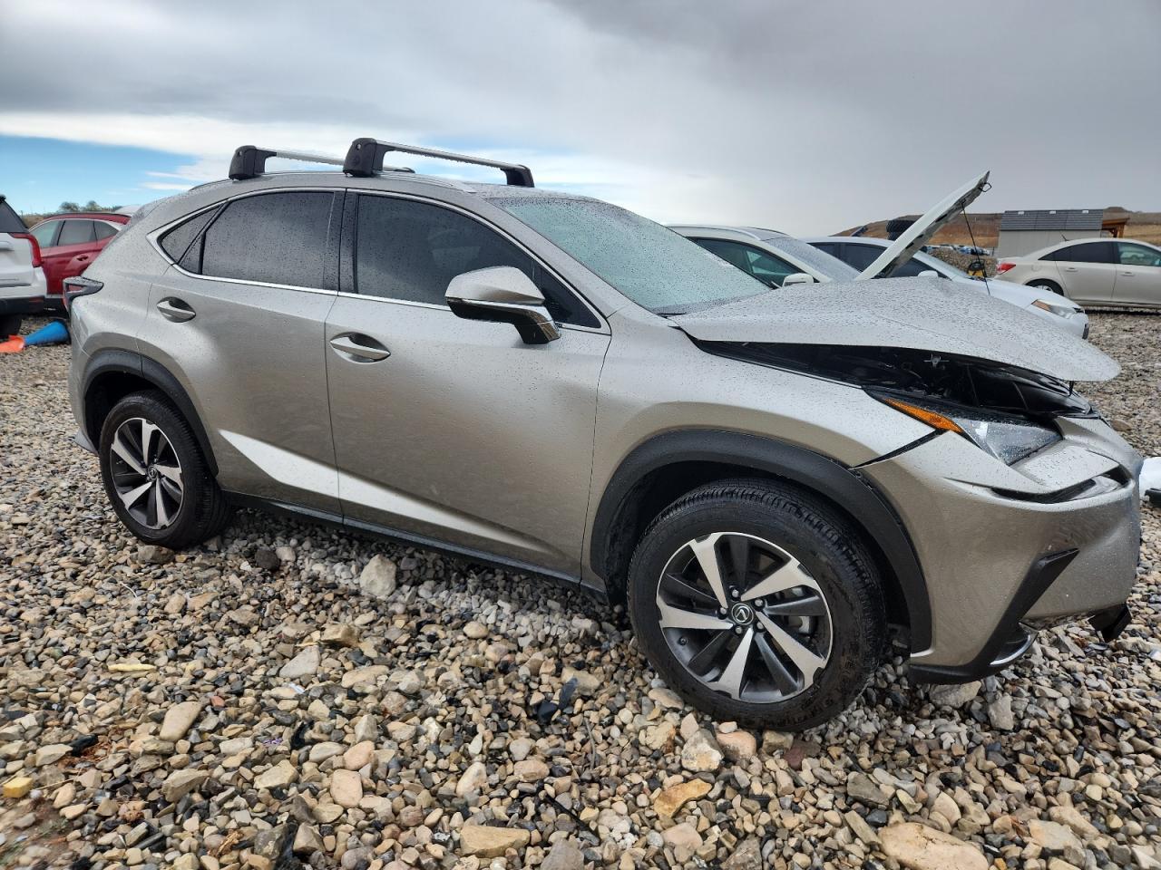 2021 LEXUS Nx
