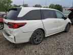 2025 HONDA ODYSSEY
