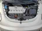 2009 VOLKSWAGEN Beetle