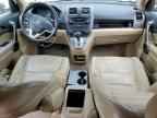2009 HONDA CR-V