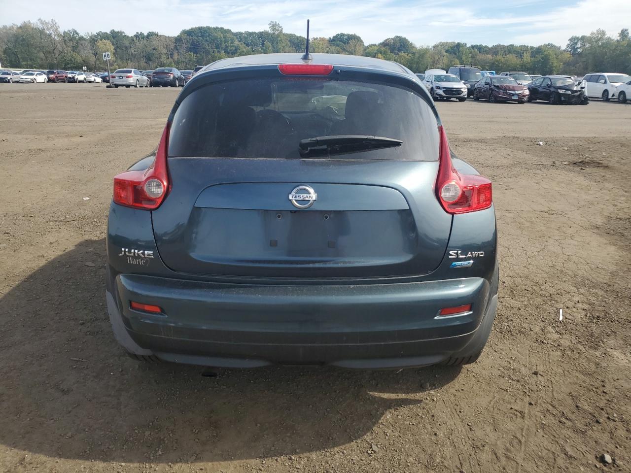 2013 NISSAN Juke