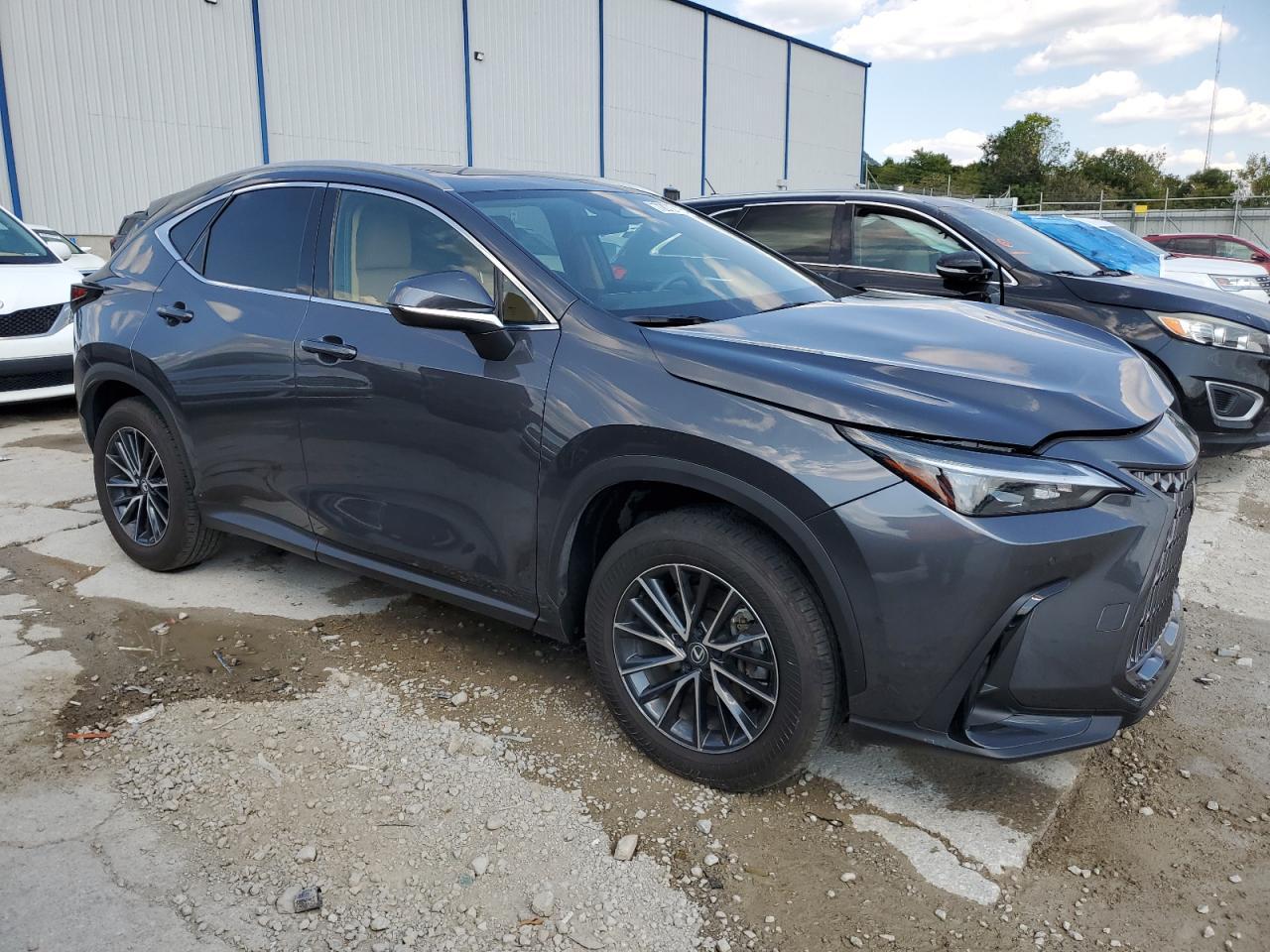 2024 LEXUS Nx