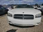 2006 DODGE CHARGER