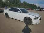 2014 DODGE CHARGER