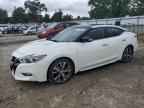 2017 NISSAN Maxima