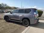 2023 LEXUS Gx