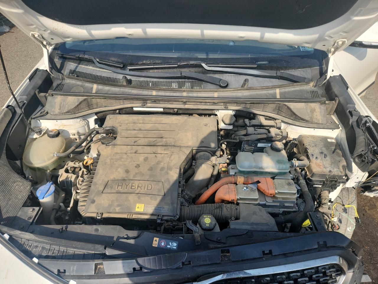 2019 KIA Niro