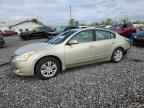 2010 NISSAN ALTIMA