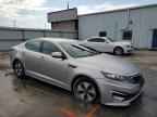 2013 KIA Optima Hybrid