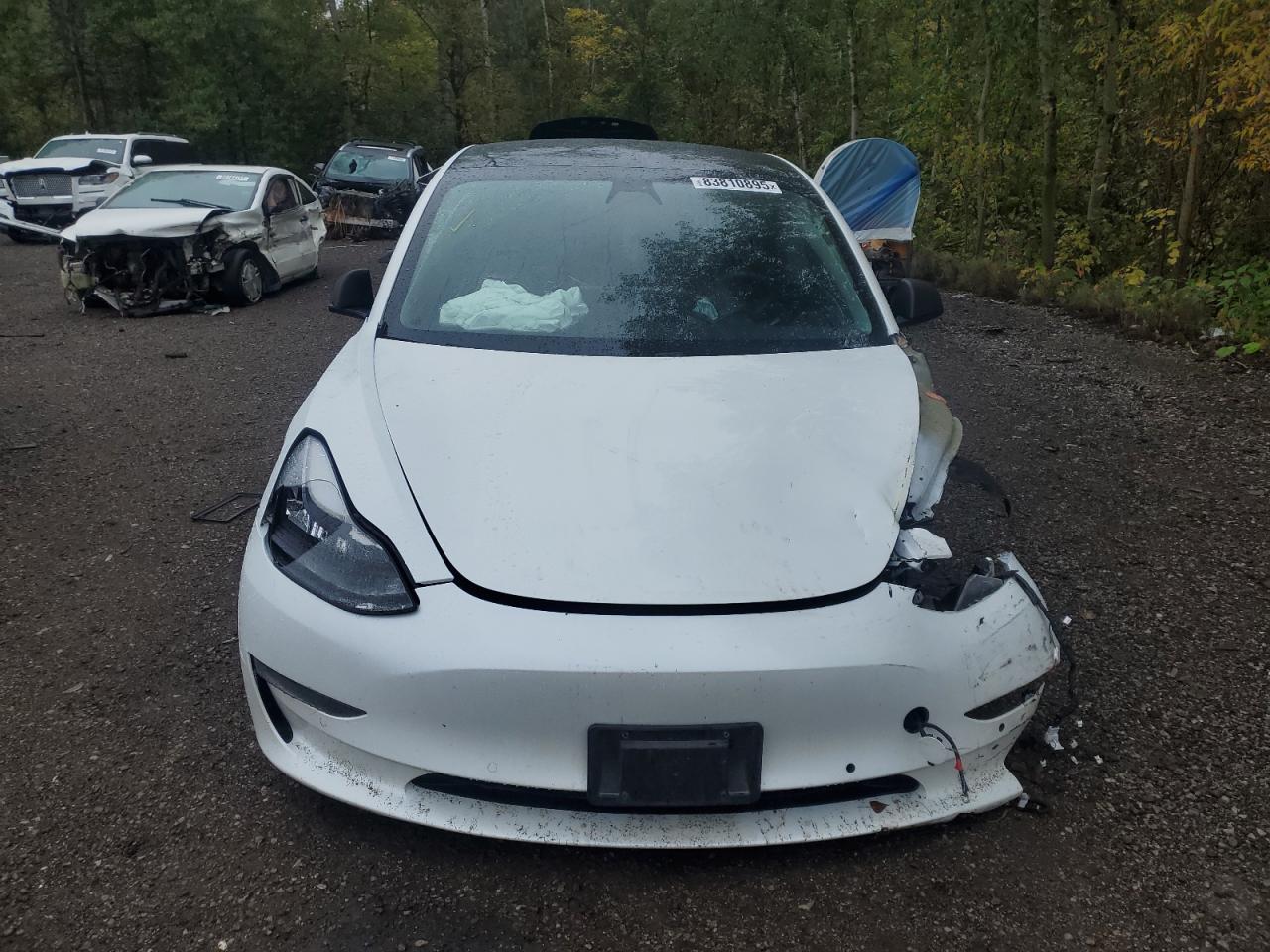 2019 TESLA MODEL 3
