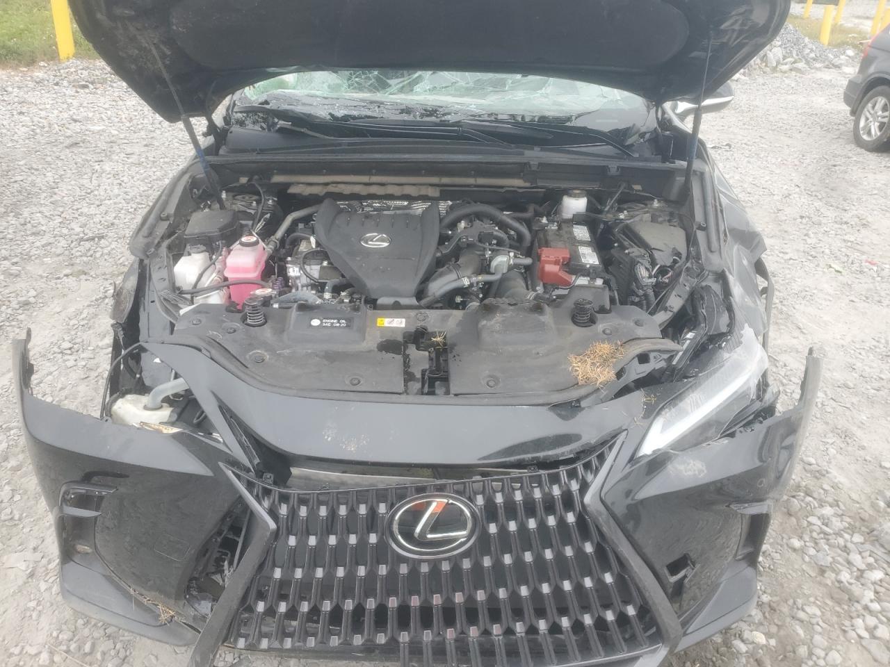 2023 LEXUS Nx
