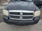 2006 DODGE Dakota