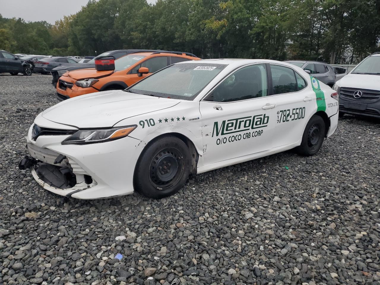 2019 TOYOTA CAMRY