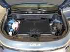 2024 KIA Niro