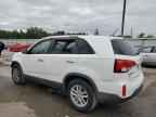 2014 KIA SORENTO