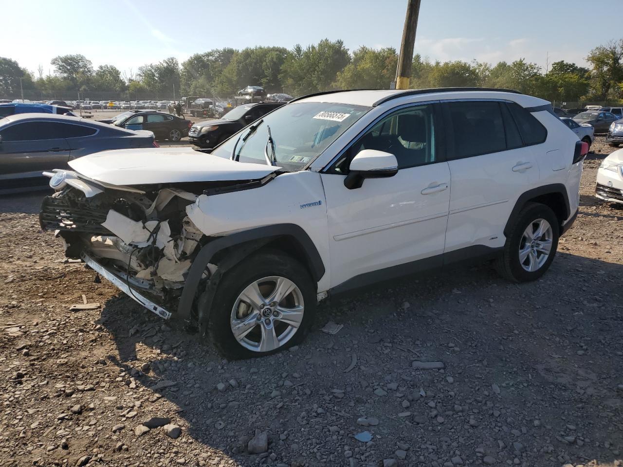 2019 TOYOTA RAV4