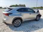 2021 LEXUS Nx