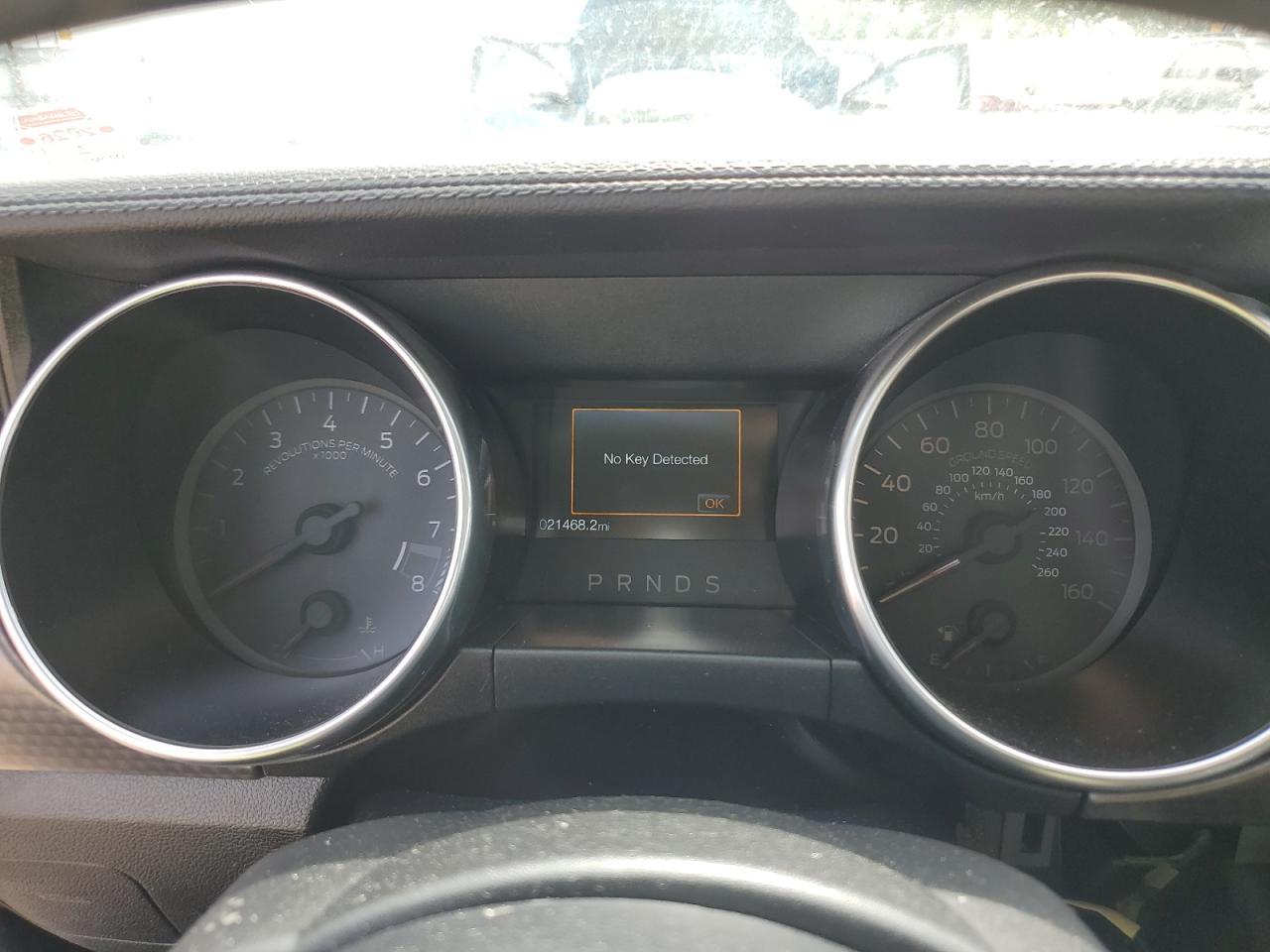 2019 FORD MUSTANG