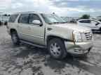 2007 CADILLAC ESCALADE