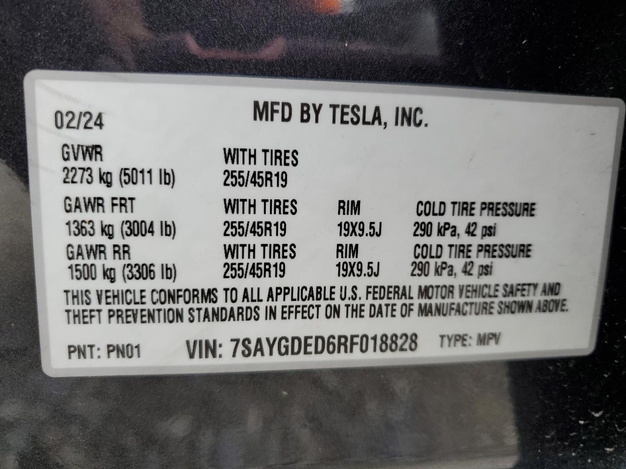 2024 TESLA MODEL Y