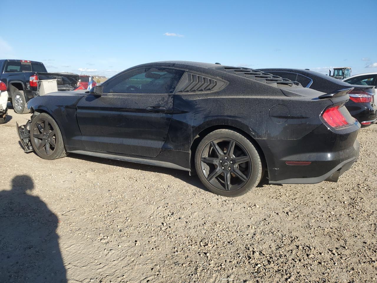 2019 FORD MUSTANG