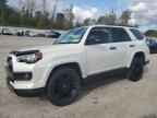 2020 TOYOTA 4Runner