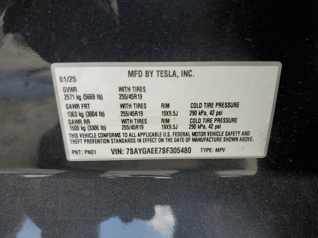 2025 TESLA MODEL Y