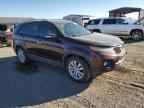 2011 KIA SORENTO