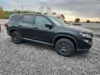 2023 HONDA PILOT